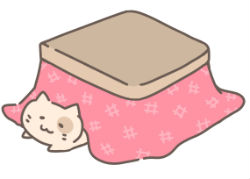 kotatu